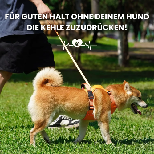 HappySteps