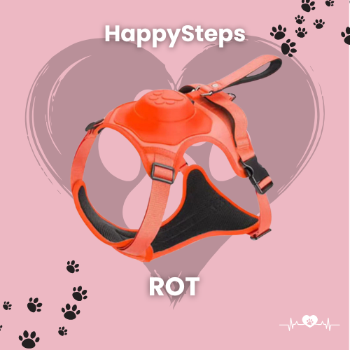 HappySteps