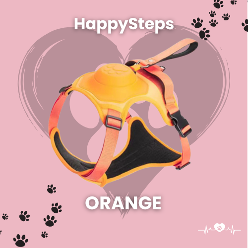 HappySteps