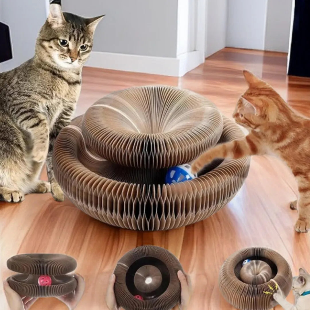 PurrJoy Play