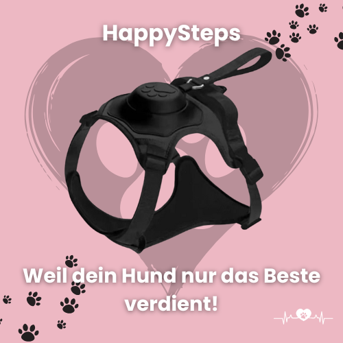HappySteps
