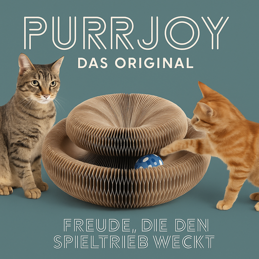 PurrJoy Play